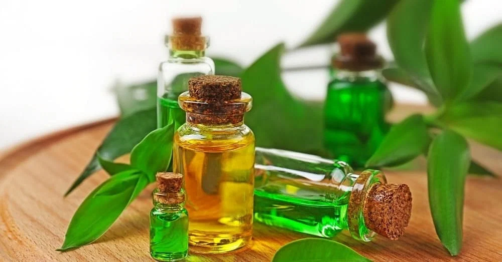 tea tree hair oil